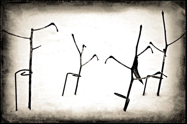 dsc_0158_med-2_med_hr